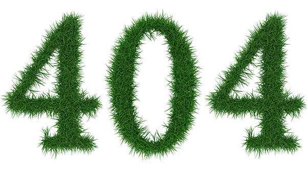 404